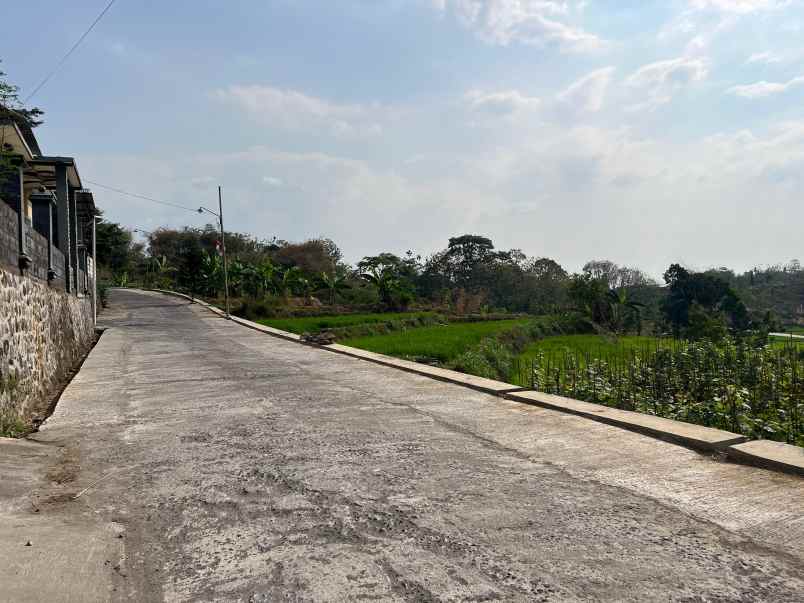 dijual sawah subur 1500m2 utara pasar karangpandan