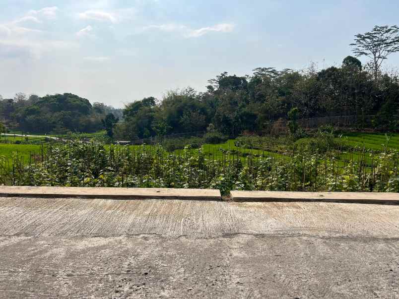 dijual sawah subur 1500m2 utara pasar karangpandan