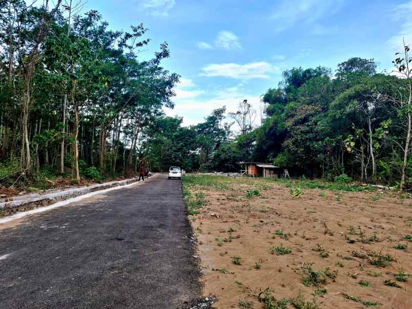 dijual tanah banjeng maguwoharjo depok