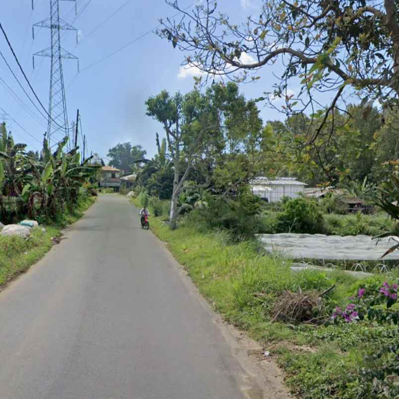 dijual tanah bedugul