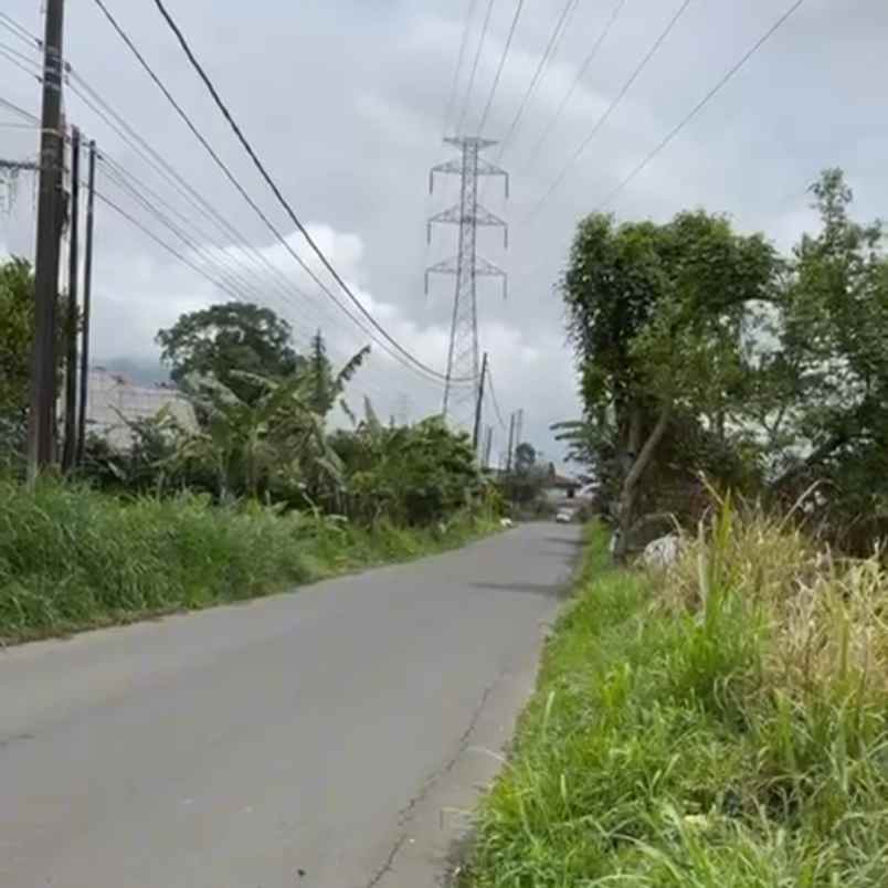 dijual tanah bedugul