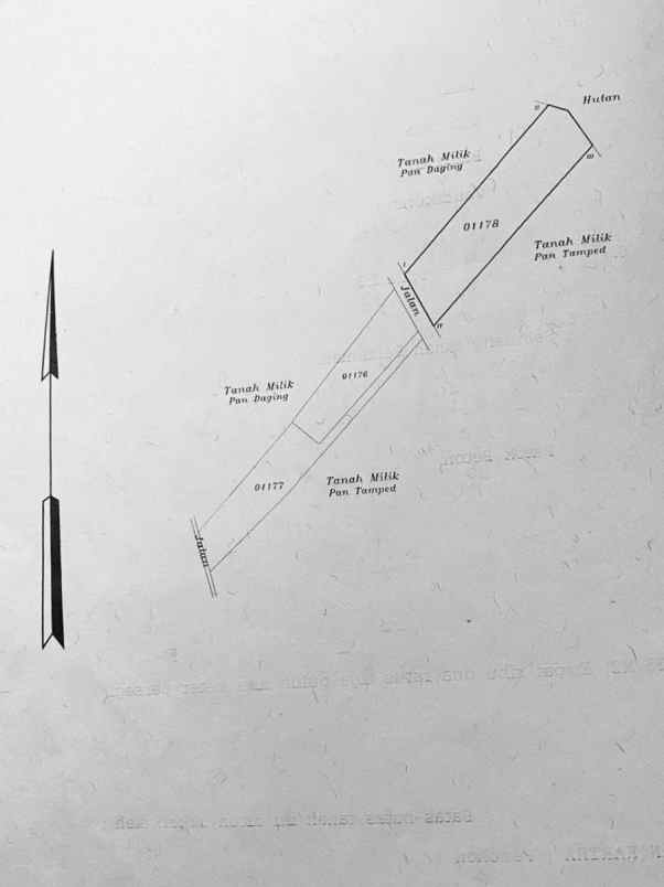 dijual tanah bedugul