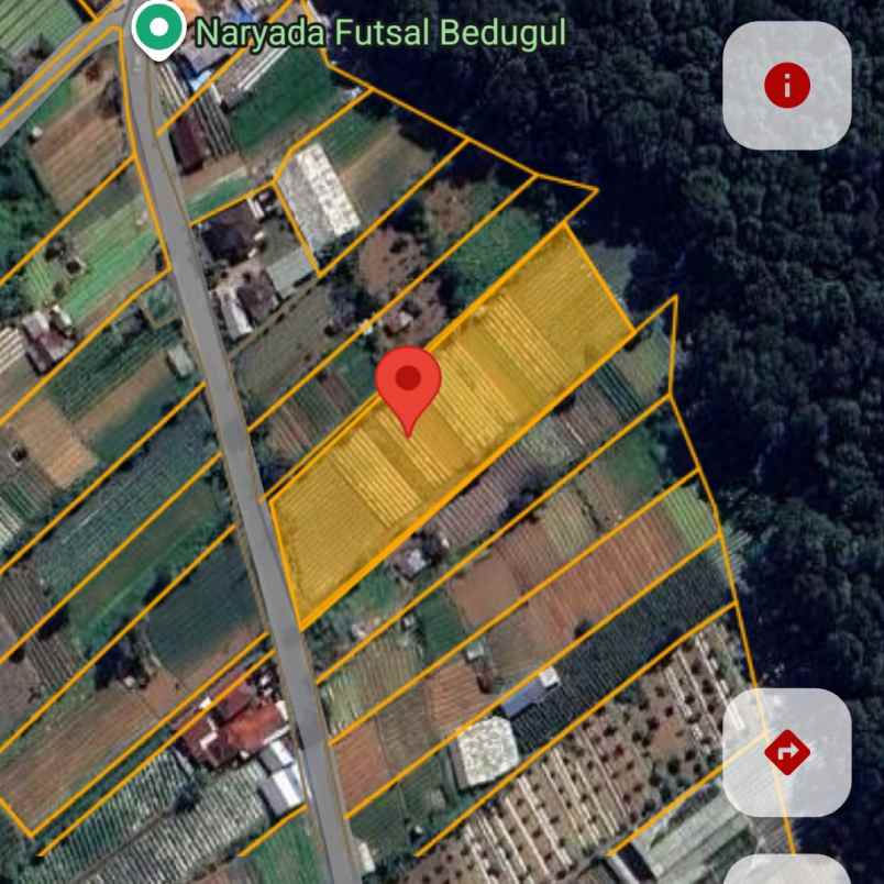 dijual tanah bedugul
