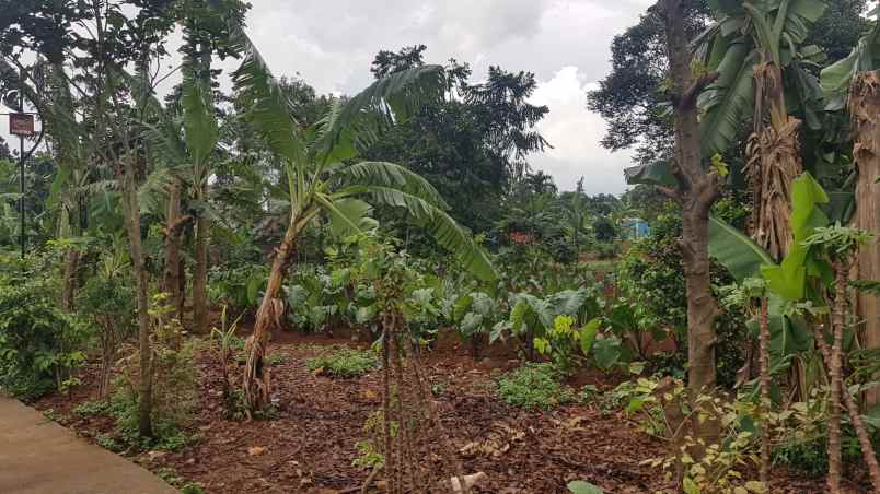 dijual tanah bojong koneng kec babakan