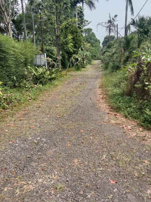 dijual tanah bomang