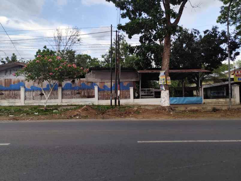 dijual tanah bondowoso