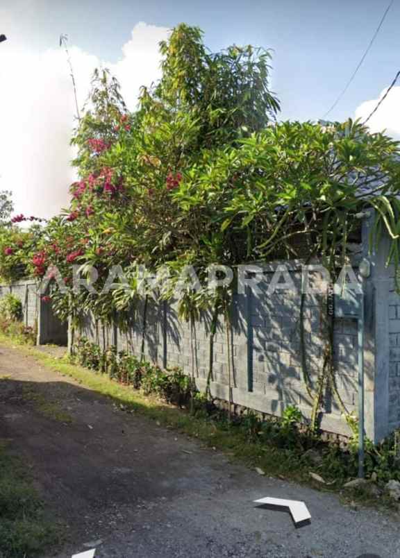 dijual tanah canggu