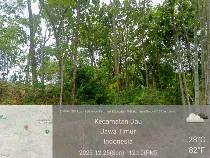 dijual tanah cepat di dusun kuso rt 4 desa kalisonggo