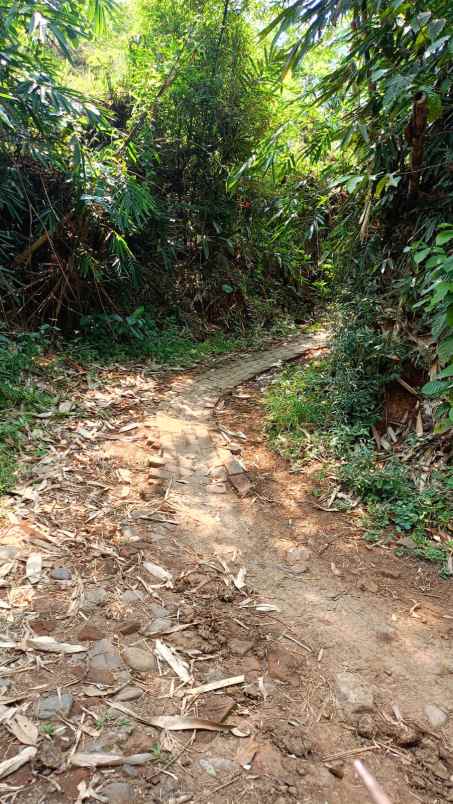 dijual tanah cepat di dusun kuso rt 4 desa kalisonggo