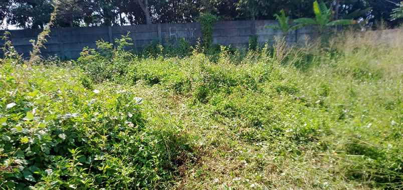 dijual tanah cigadung