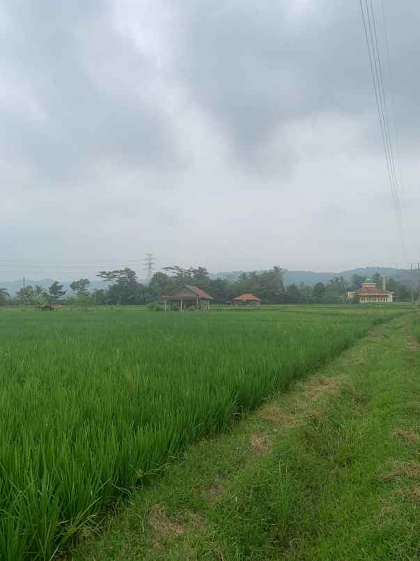 dijual tanah cisalada