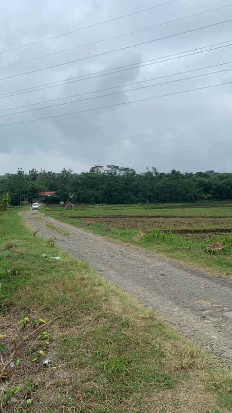 dijual tanah cisalada