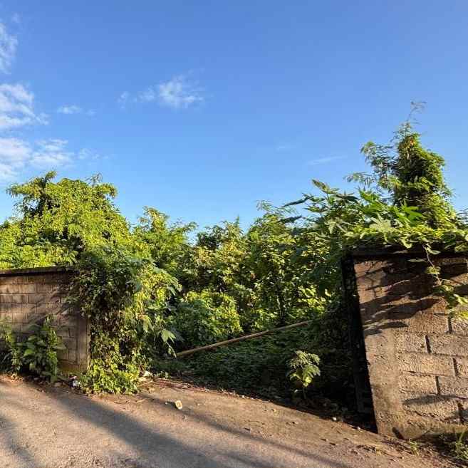 dijual tanah danau tempe