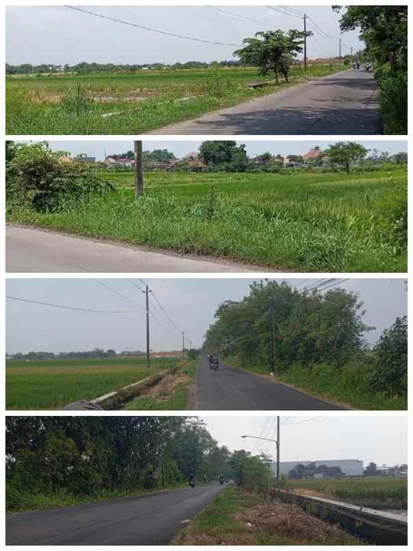 dijual tanah delanggu klaten jateng