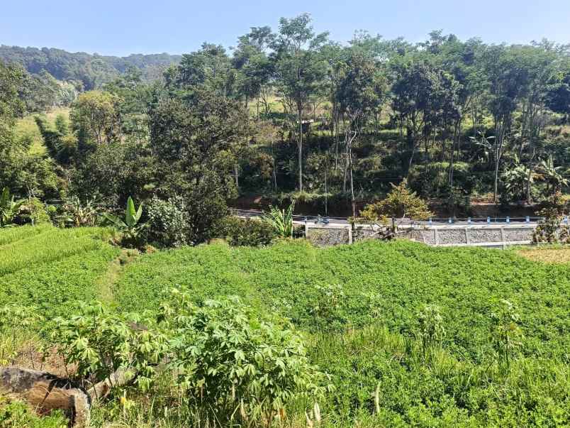 dijual tanah desa kebon alas kecamatan