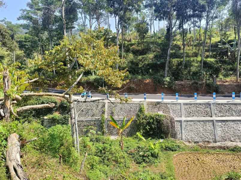 dijual tanah desa kebon alas kecamatan