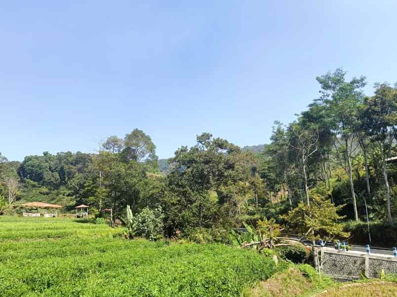 dijual tanah desa kebon alas kecamatan