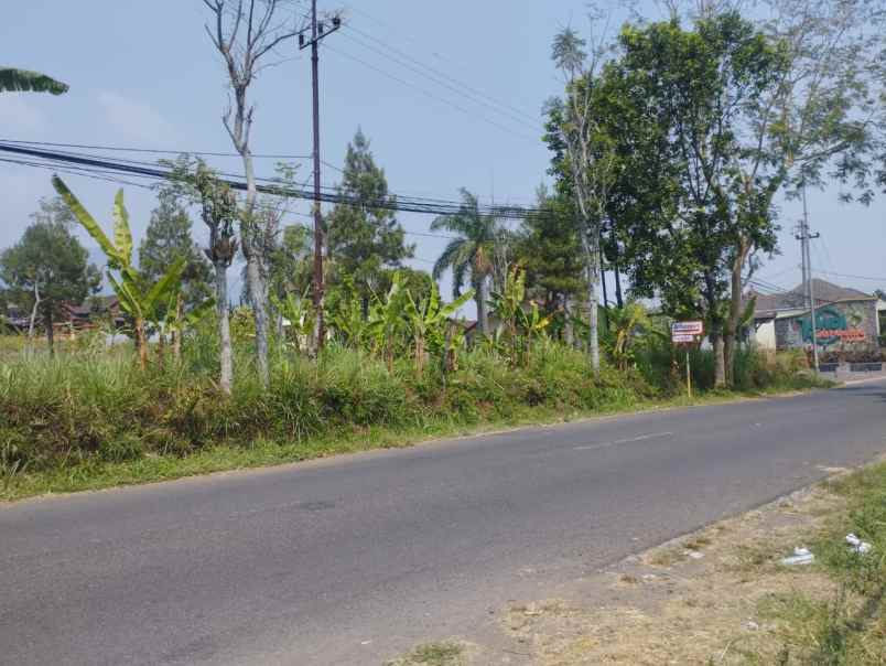 dijual tanah desa ketapanrame kecamatan