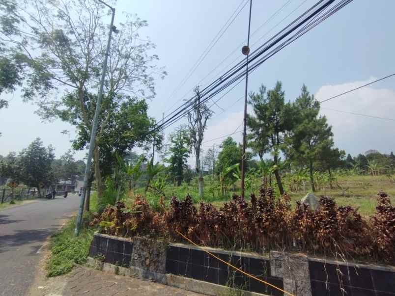 dijual tanah desa ketapanrame kecamatan