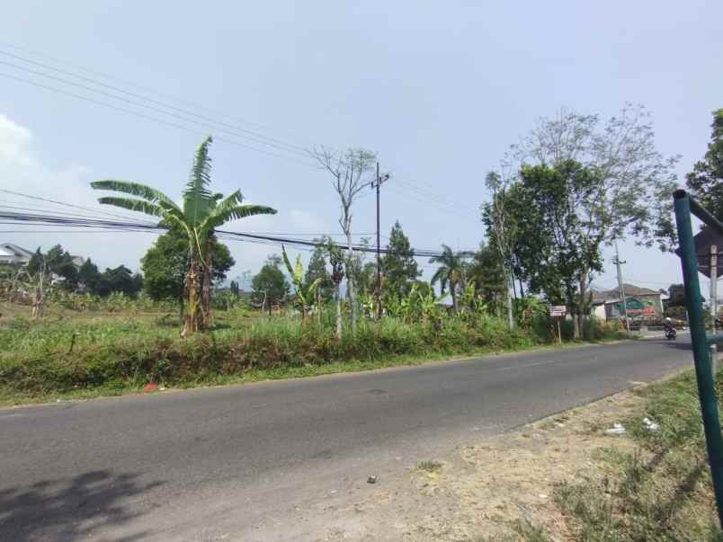 dijual tanah desa ketapanrame kecamatan