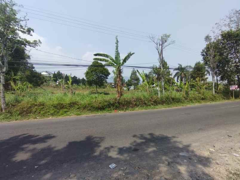 dijual tanah desa ketapanrame kecamatan