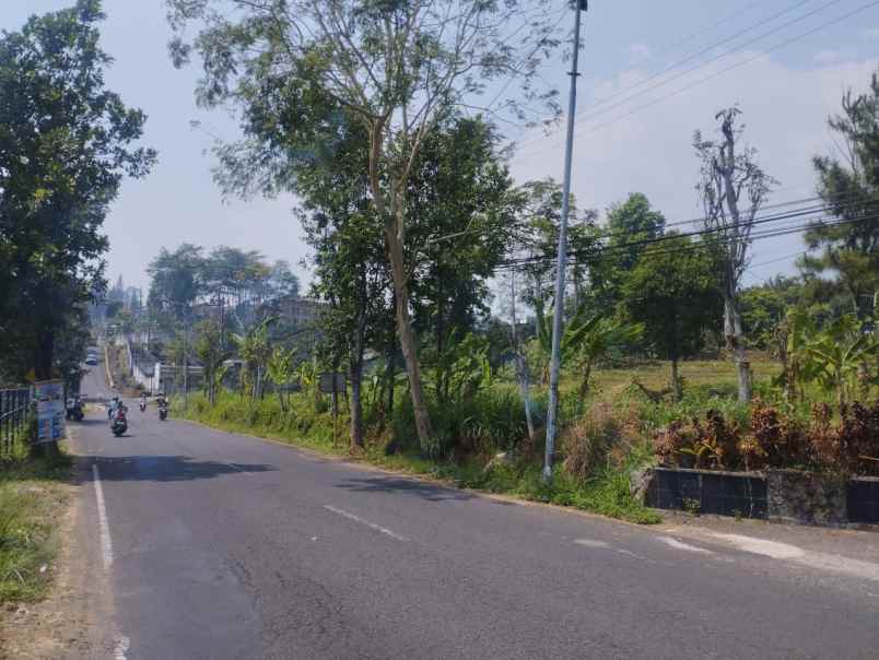 dijual tanah desa ketapanrame kecamatan