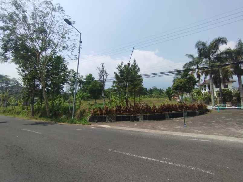 dijual tanah desa ketapanrame kecamatan