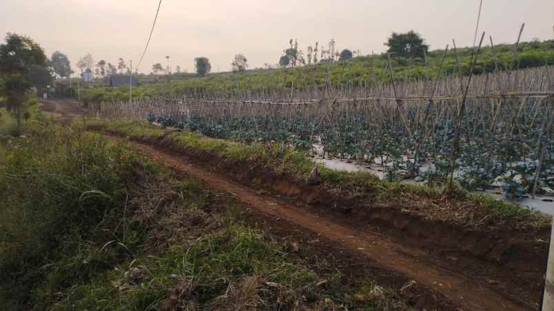 dijual tanah desa pakuhaji kecamatan