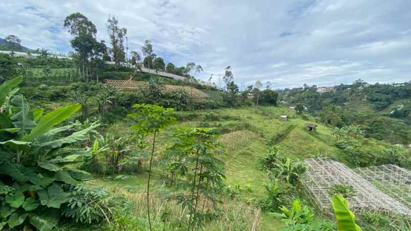 dijual tanah desa pasirlangu kecamatan