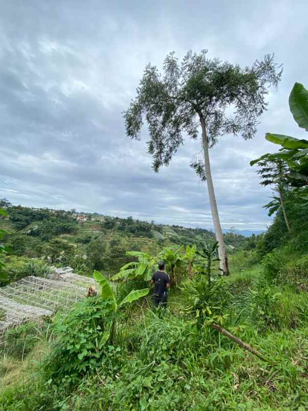 dijual tanah desa pasirlangu kecamatan