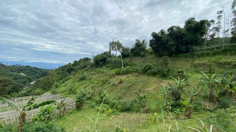 dijual tanah desa pasirlangu kecamatan