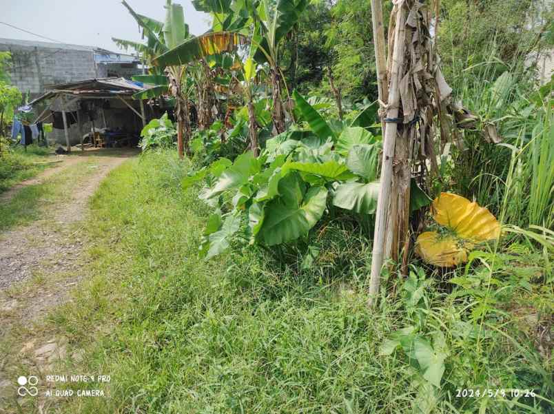 dijual tanah desa sirnagalih kec