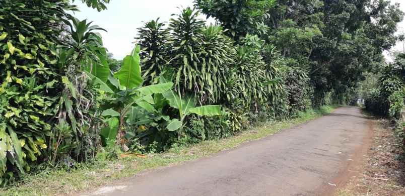 dijual tanah desa tenjolaut kecamatan