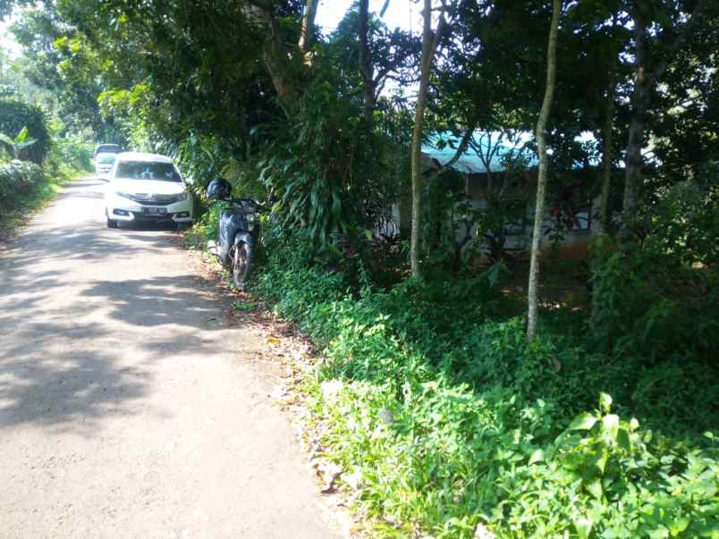 dijual tanah desa tenjolaut kecamatan