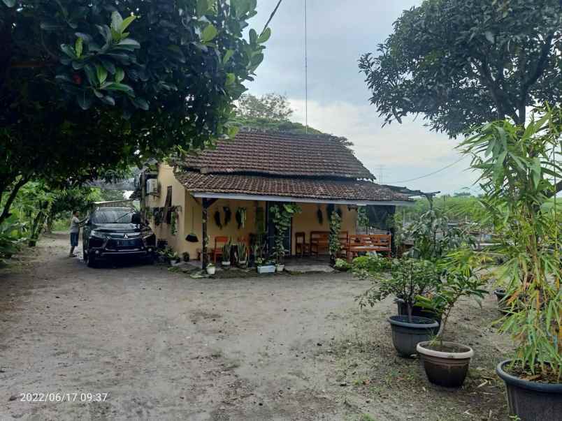 dijual tanah di sumberagung