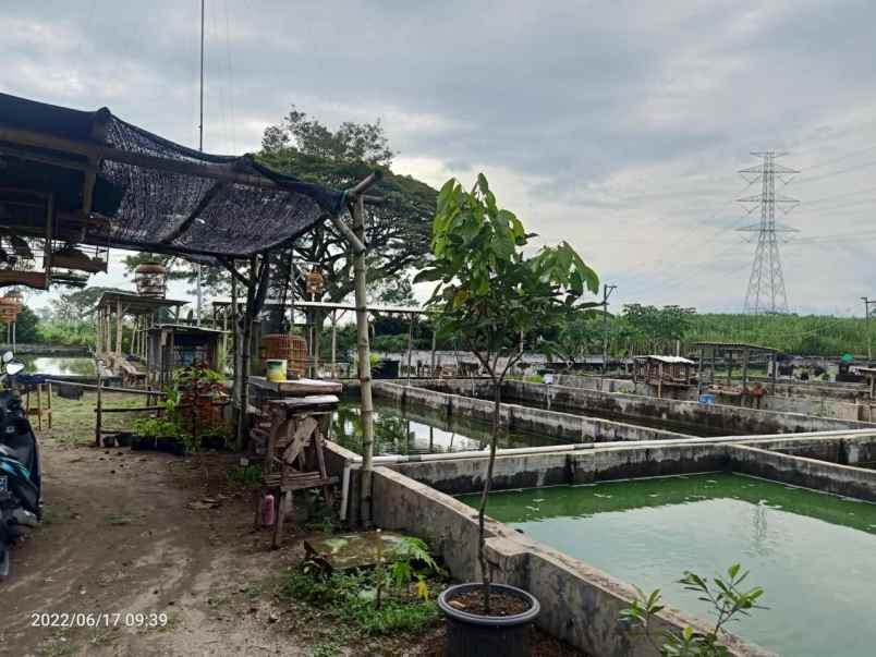 dijual tanah di sumberagung