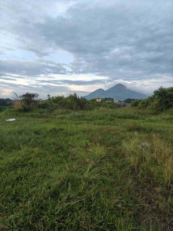 dijual tanah dijual tanah di dusun