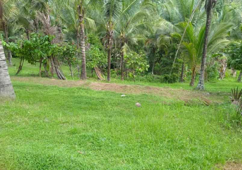 dijual tanah dijual tanah di gadung