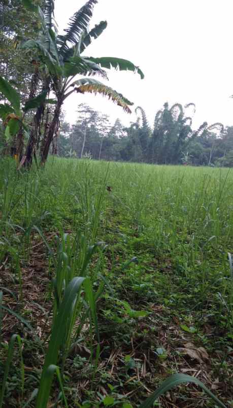 dijual tanah dijual tanah di sumberawan