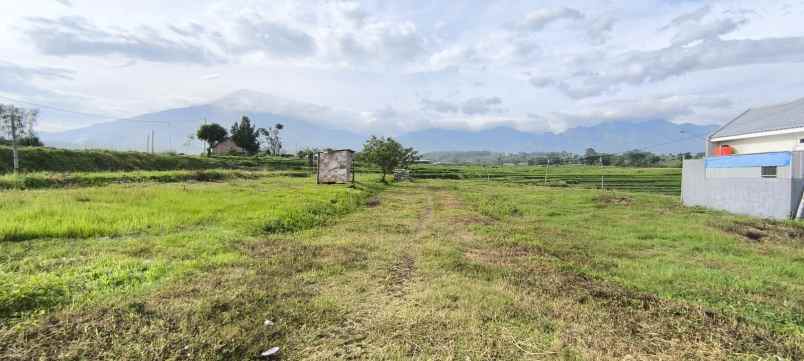 dijual tanah dsn watutumang ds