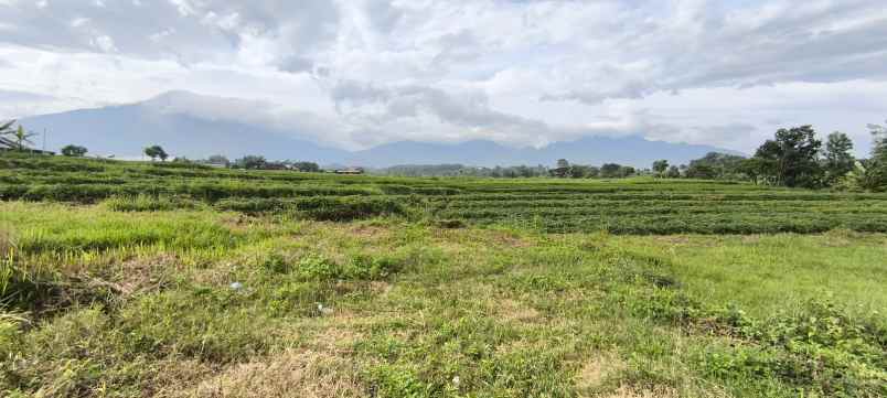 dijual tanah dsn watutumang ds