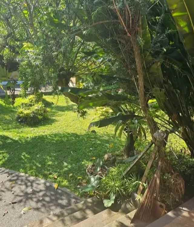 dijual tanah gang kecak mengwi