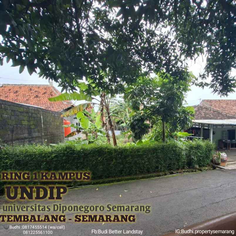 dijual tanah gondang tembalang semarang