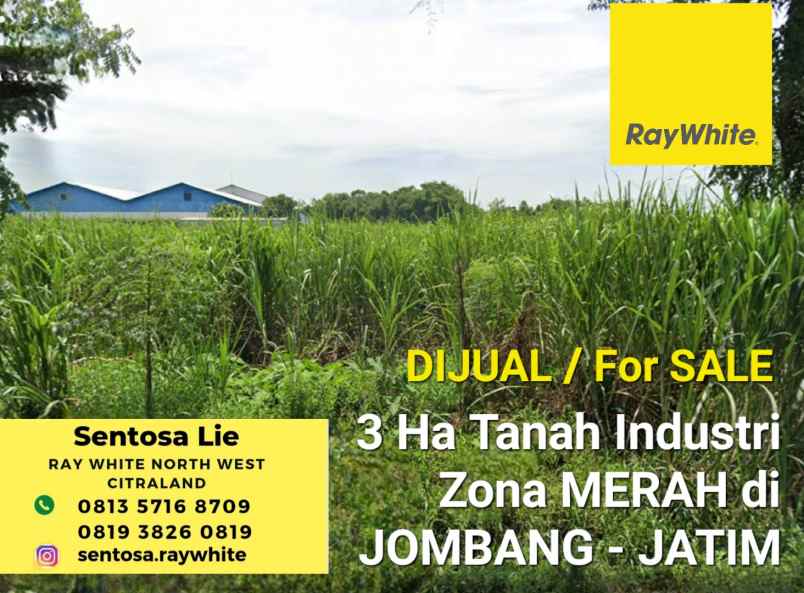 dijual tanah jalan jati pelem diwek