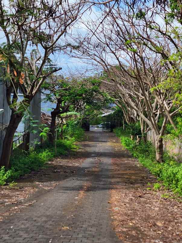 dijual tanah jalan jimbaran kuta badung