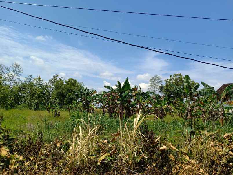 dijual tanah jalan randekan dusun