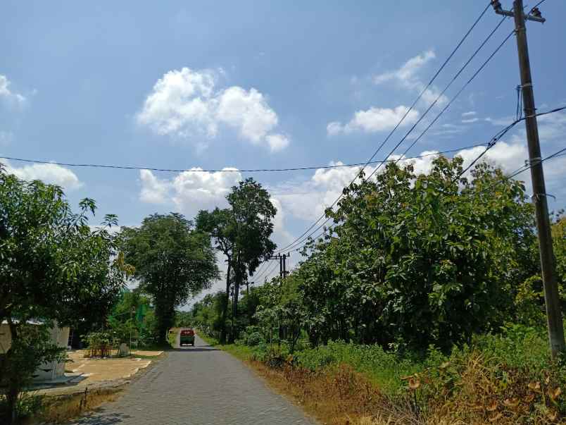 dijual tanah jalan randekan dusun