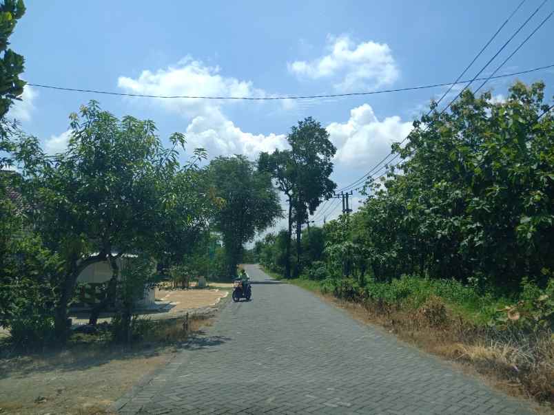 dijual tanah jalan randekan dusun