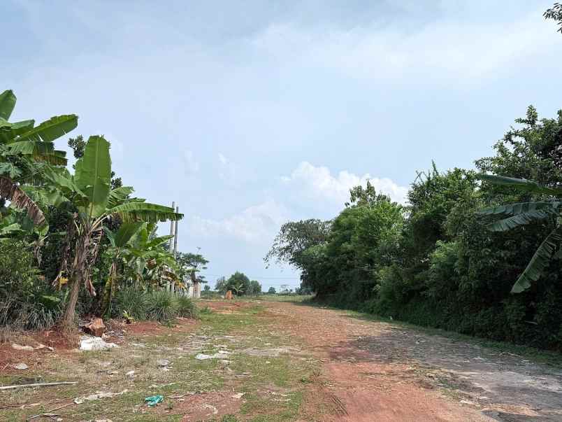 dijual tanah jalan raya tanjung garut