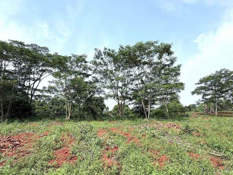 dijual tanah jalan raya tanjung garut